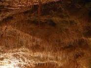 /album/galerie-foto/images-11-jpg1/